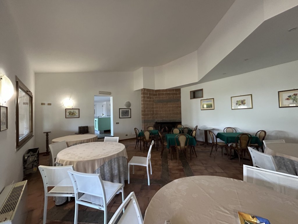 IMG_3940 (FILEminimizer).jpeg